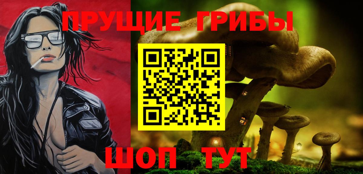 Саранск  Псилоцибиновые грибы GOLDEN TEACHER  Псилоцибиновые грибы прущие грибы  Вход с VPN 